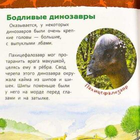 Энциклопедия динозавры