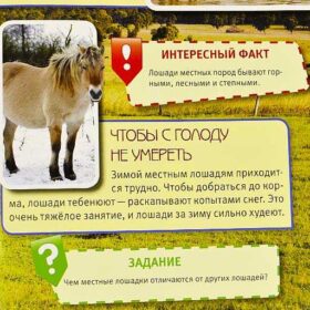 энциклопедия