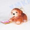 резиновая игрушка