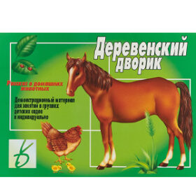 деревенский дворик