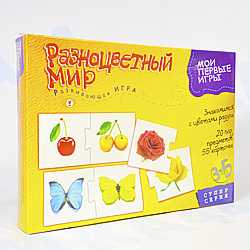 развивающая игра разноцветный мир