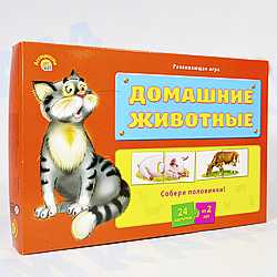 ассоциации-половинки домашние животные