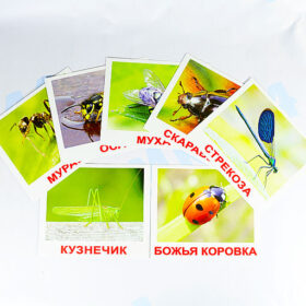 Вундеркинд с пеленок. Насекомые