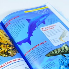 Детская энциклопедия Акулы